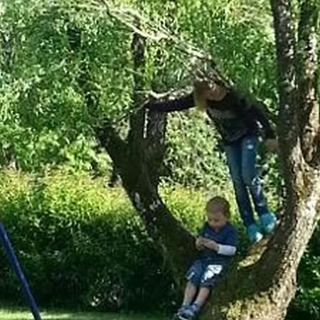 아파트 Haus Wolter 겐넨바흐