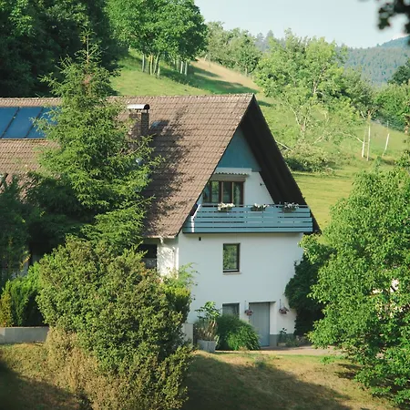 Daire Haus Wolter Gengenbach